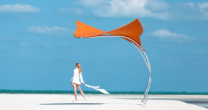 stingray